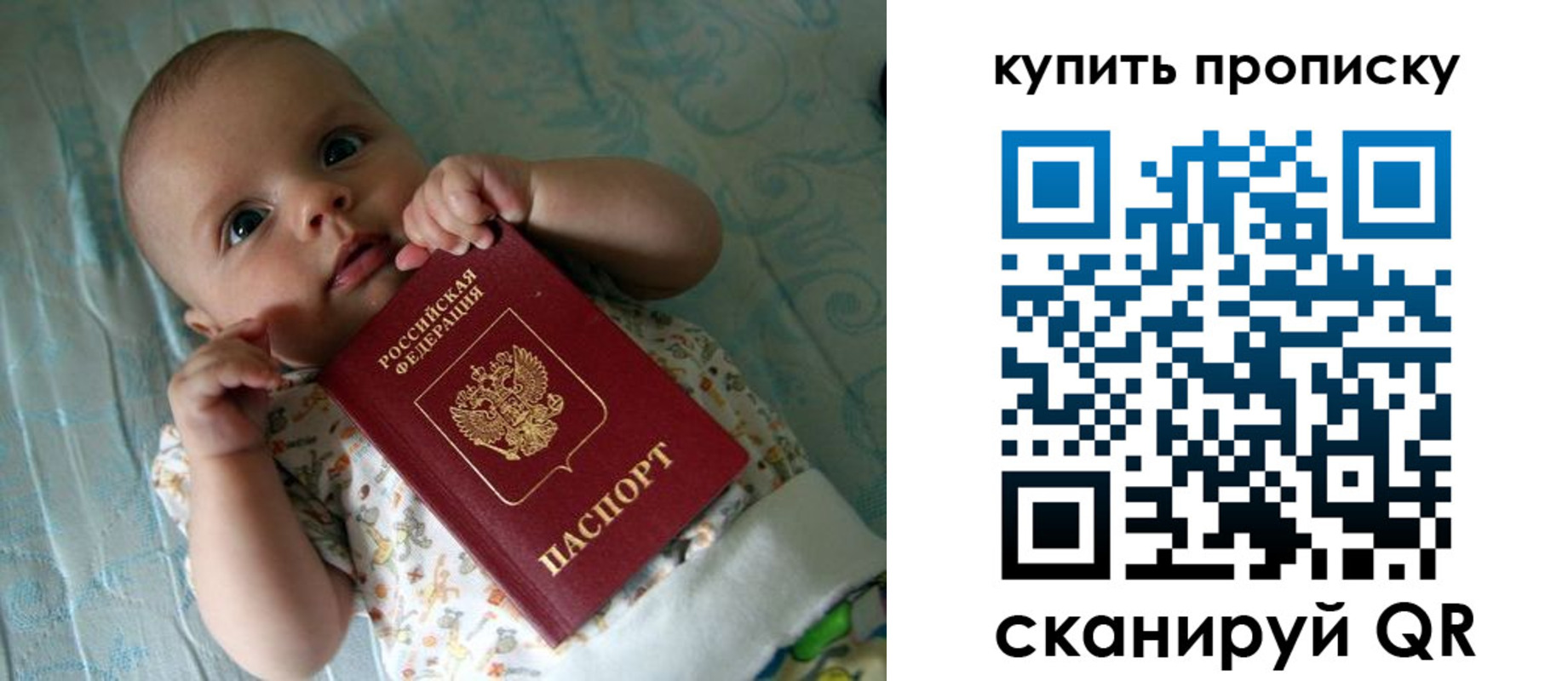 регистрация в Мончегорске